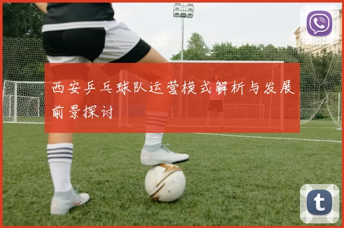 西安乒乓球队运营模式解析与发展前景探讨
