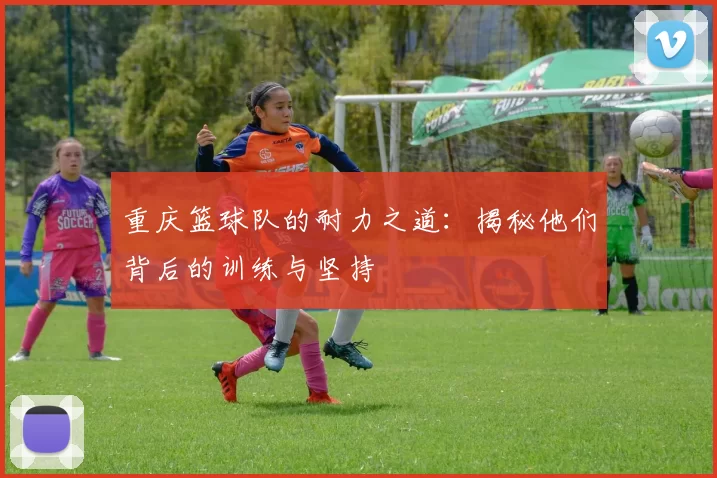 重庆篮球队的耐力之道：揭秘他们背后的训练与坚持