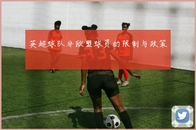英超球队非欧盟球员的限制与政策