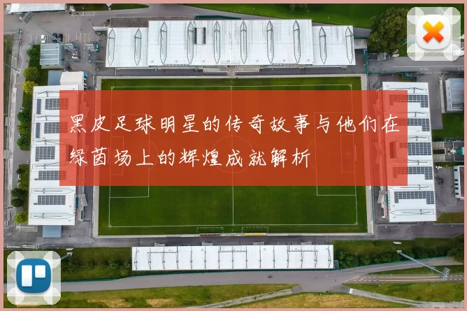 黑皮足球明星的传奇故事与他们在绿茵场上的辉煌成就解析