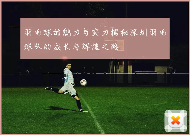 羽毛球的魅力与实力揭秘深圳羽毛球队的成长与辉煌之路