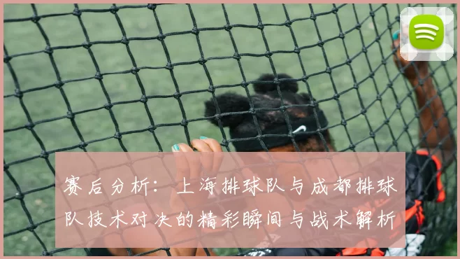 赛后分析：上海排球队与成都排球队技术对决的精彩瞬间与战术解析